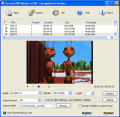 Screenshot of Torrent DVD Ripper 2.93