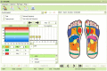 Reflexology (ZONE ) software