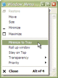 Screenshot of Actual Window Menu 6.4