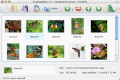 Visual Lightbox JS Web Gallery Maker for Mac