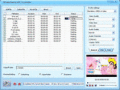Screenshot of DDVideo Flash(SWF) to 3GP Converter Gain 4.1
