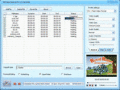 convert Flash(SWF) files to FLV/MP4/MPEG/SWF