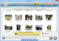 Digital Camera Data Recovery restores images