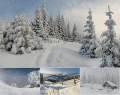 Screenshot of Animated Winterscapes 1.0