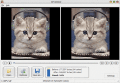Optimize animated GIF file.
