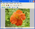 Screenshot of AD Picture Viewer 3.9.1