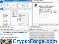 Data encryption software by CryptoForge