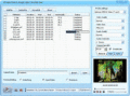 Screenshot of DDVideo SWF to Google Video Gain 4.0