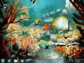 Screenshot of Tropical Fish 3D Screensaver 1.3