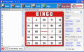 Custom printable bingo card maker
