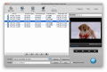 Screenshot of Daniusoft iPhone Video Converter for Mac 1.0.0