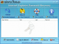 Screenshot of SysInfoTools IE Password Recovery 1.0