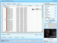 Screenshot of DDVideo DVD to BlackBerry Converter Gain 4.0