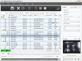 Screenshot of Xilisoft DVD to AVI Converter 6.0.5.0709