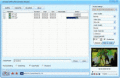 Screenshot of DDVideo SWF to RMVB Converter Standard 4.5
