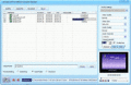 Screenshot of DDVideo SWF to Cell Phone Converter Standard 4.1