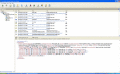 Screenshot of SurveilStar Activity Monitor 1.03